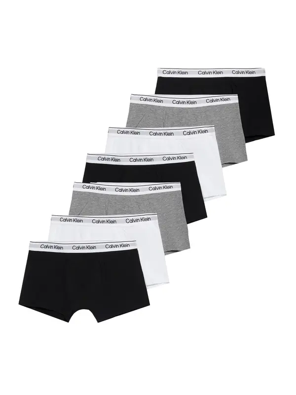 Calvin Klein Underwear Calvin Klein Underwear Gaće  siva / crna / bijela