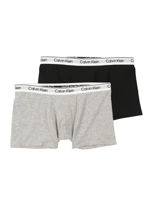 Calvin Klein Underwear Calvin Klein Underwear Gaće  siva / crna / bijela