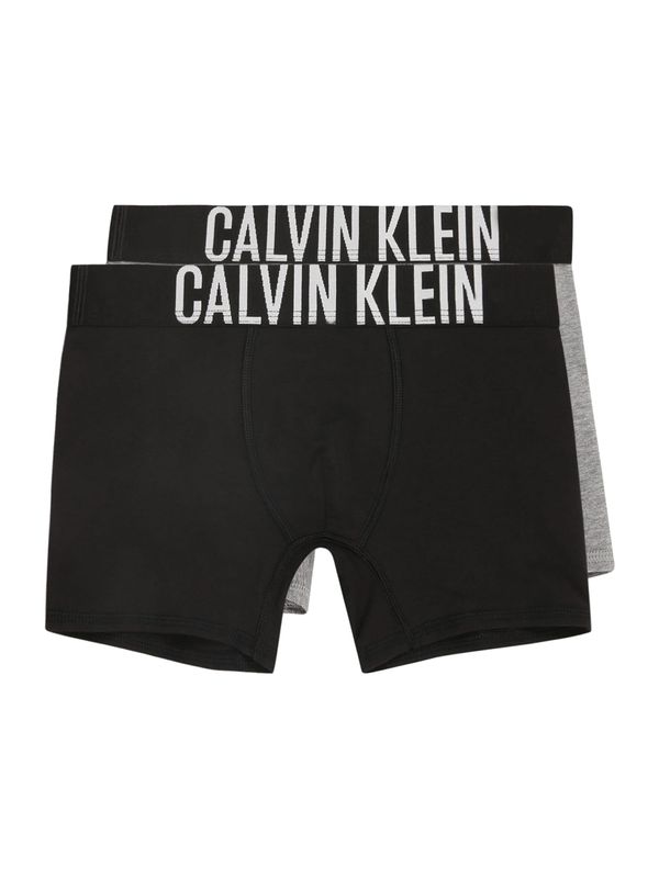 Calvin Klein Underwear Calvin Klein Underwear Gaće  siva / crna / prljavo bijela