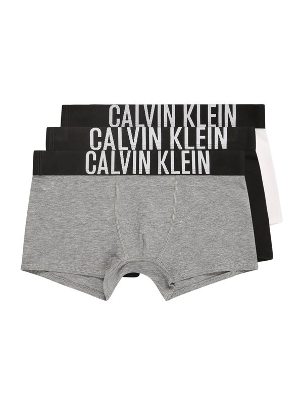 Calvin Klein Underwear Calvin Klein Underwear Gaće  siva melange / crna / bijela
