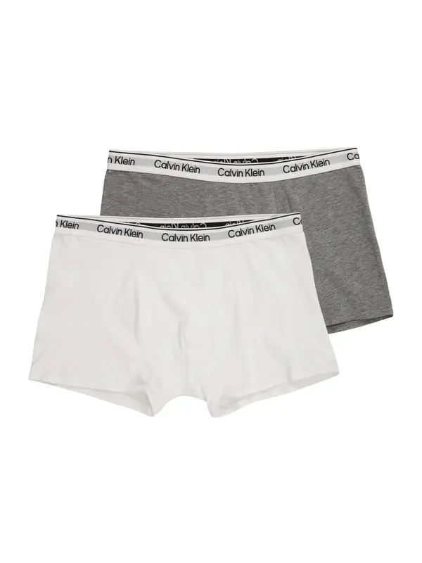 Calvin Klein Underwear Calvin Klein Underwear Gaće  siva melange / crna / bijela