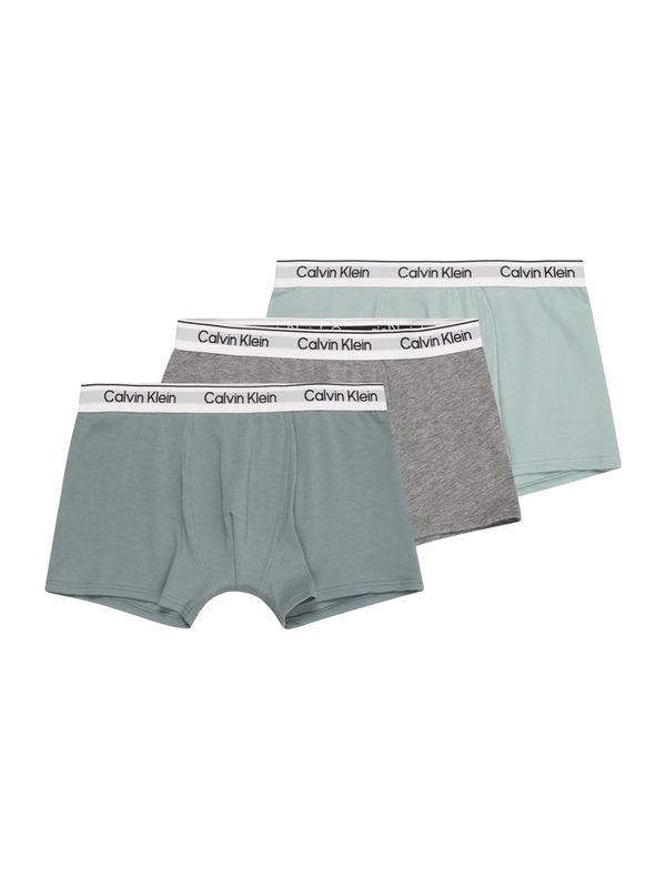 Calvin Klein Underwear Calvin Klein Underwear Gaće  siva melange / zelena / menta / bijela