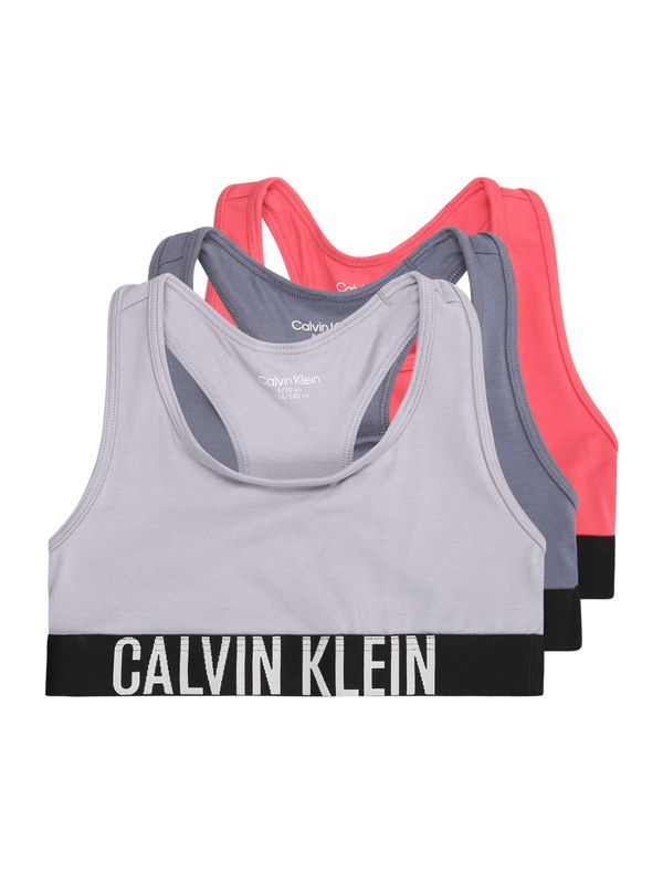 Calvin Klein Underwear Calvin Klein Underwear Grudnjak  golublje plava / svijetlosiva / prljavo roza / crna