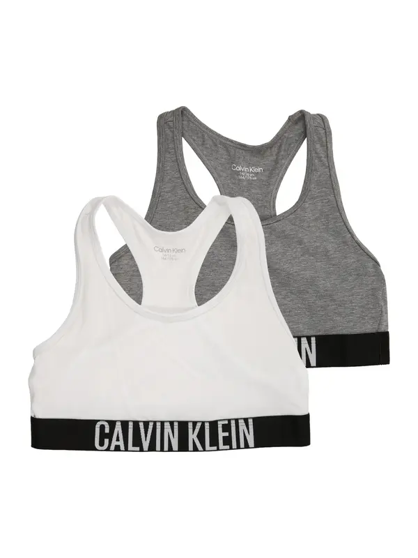 Calvin Klein Underwear Calvin Klein Underwear Grudnjak 'Intense Power'  siva / bež siva / crna / bijela