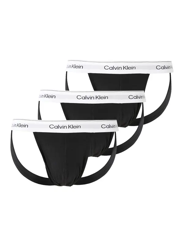 Calvin Klein Underwear Calvin Klein Underwear Slip  svijetlosiva / crna / bijela