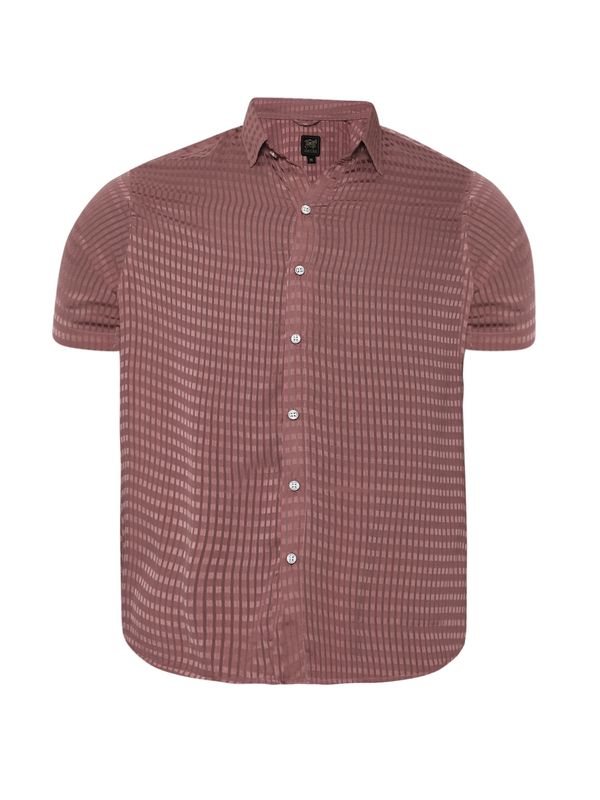 Campus Sutra Campus Sutra Košulja 'Fernando'  smeđa / roza