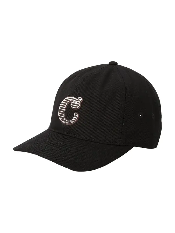 Carhartt WIP Carhartt WIP Šilterica 'Cold World'  smeđa / crna / bijela