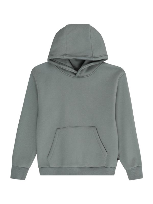 Cars Jeans Cars Jeans Sweater majica 'FERGAL'  pastelno zelena