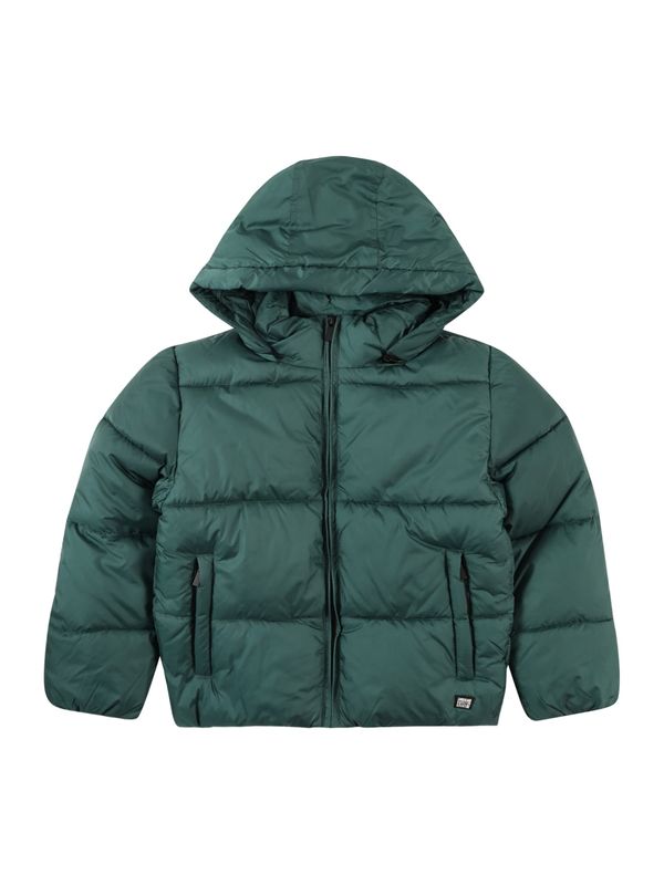 Cars Jeans Cars Jeans Zimska jakna 'SOYMAS'  kraljevski zelena