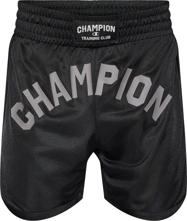 Champion Authentic Athletic Apparel Champion Authentic Athletic Apparel Sportske hlače  siva / crna