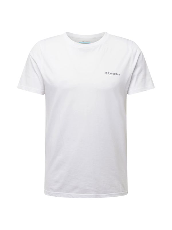 COLUMBIA COLUMBIA Tehnička sportska majica 'Rapid Ridge'  tamo siva / bijela