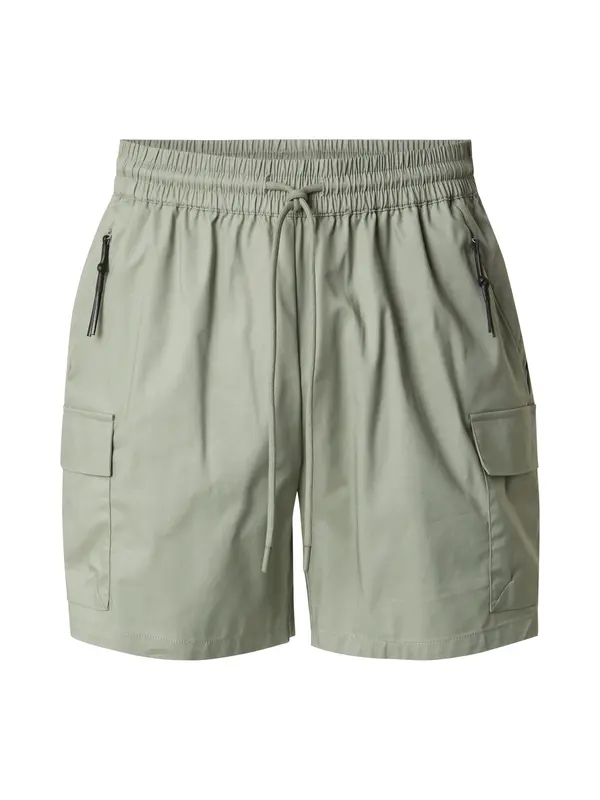 DAN FOX APPAREL DAN FOX APPAREL Cargo hlače 'Marten'  pastelno zelena