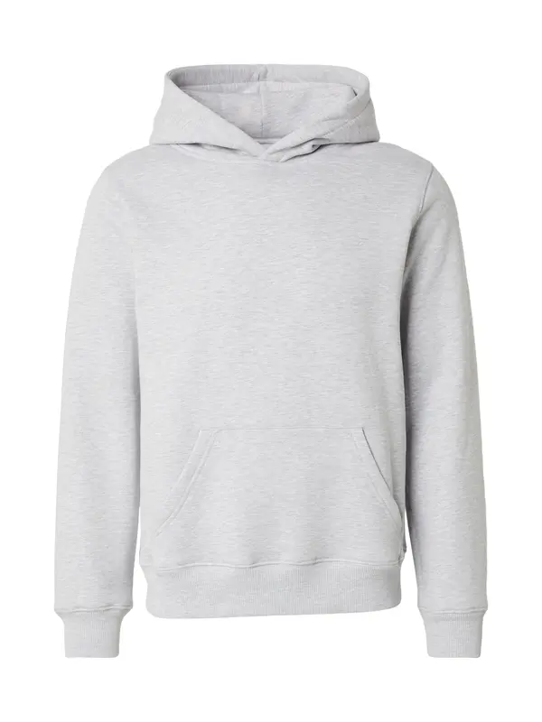 DAN FOX APPAREL DAN FOX APPAREL Sweater majica 'Arvid'  siva melange