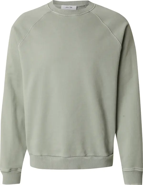 DAN FOX APPAREL DAN FOX APPAREL Sweater majica 'Yigit'  pastelno zelena