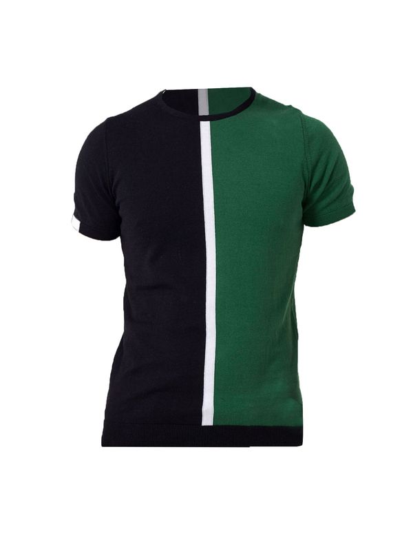 Dandalo Dandalo Majica  zelena / crna / bijela