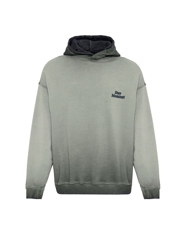 Dandalo Dandalo Sweater majica 'Ed'  kraljevski zelena / pastelno zelena