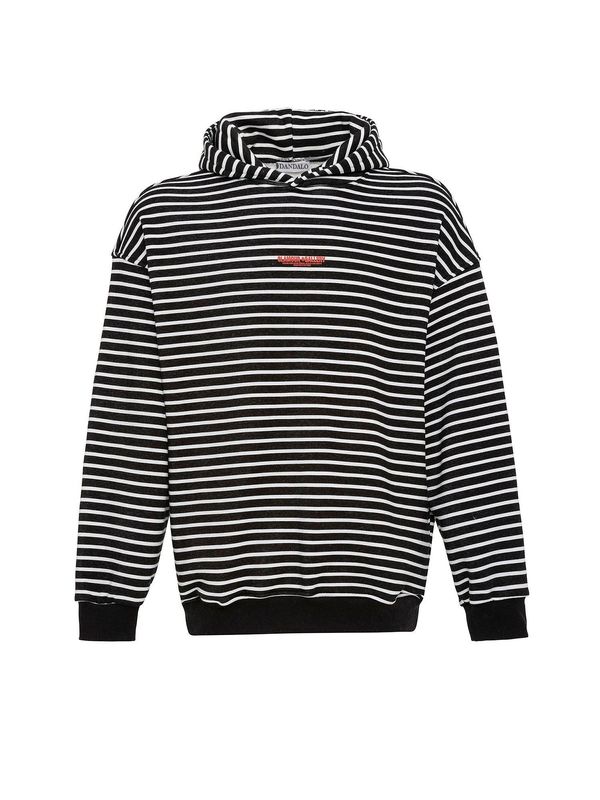 Dandalo Dandalo Sweater majica 'Sheldon'  crvena / crna / bijela