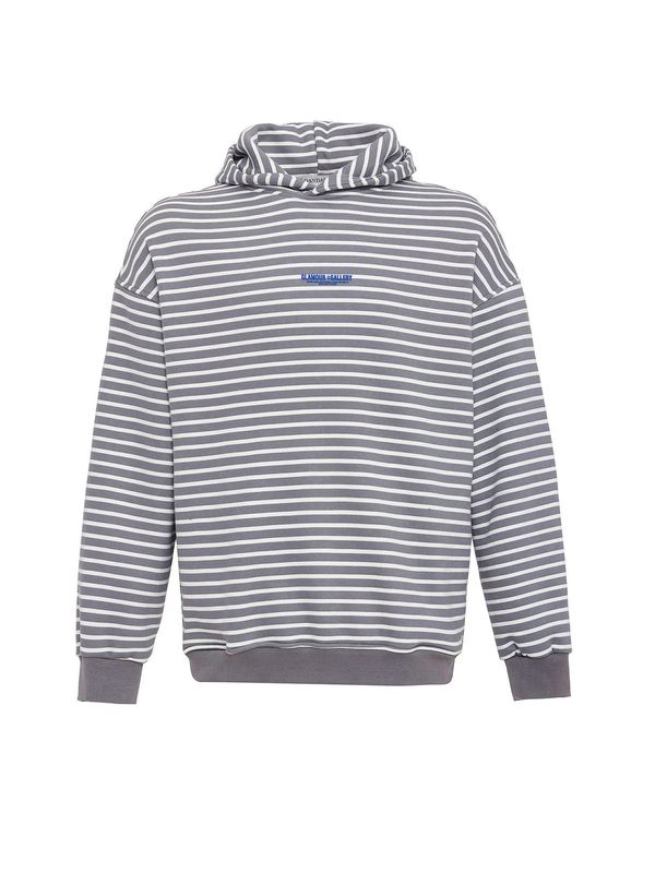 Dandalo Dandalo Sweater majica 'Sheldon'  plava / siva / prljavo bijela