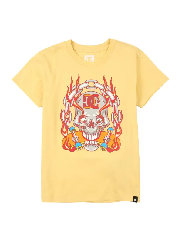 DC Shoes DC Shoes Tehnička sportska majica 'BURNING SKULL'  svijetložuta / siva / narančasta / karmin crvena