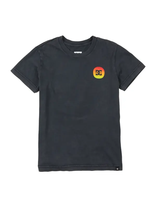 DC Shoes DC Shoes Tehnička sportska majica  zelena / narančasta / crvena / crna