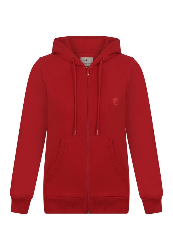 DENIM CULTURE DENIM CULTURE Gornji dio trenirke 'Yasenia'  crvena