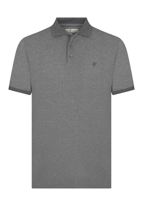 DENIM CULTURE DENIM CULTURE Majica 'CALVIN'  siva