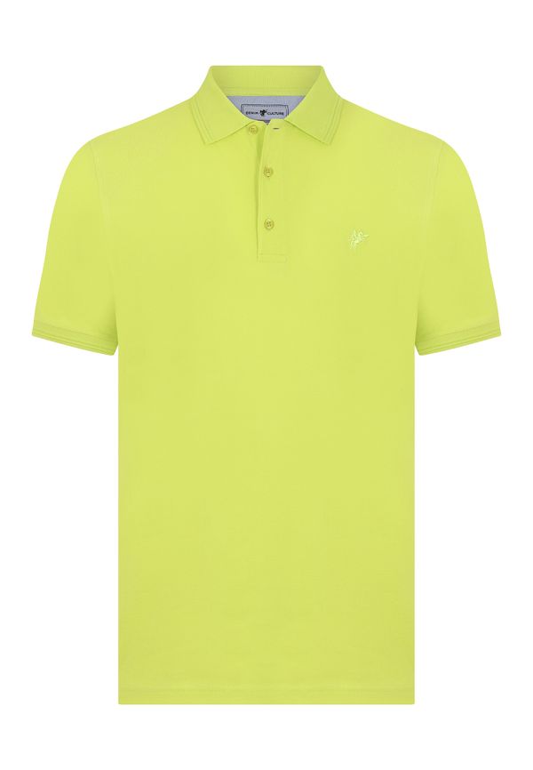 DENIM CULTURE DENIM CULTURE Majica 'Ken'  sivkasto zelena