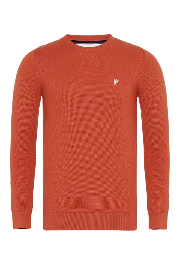 DENIM CULTURE DENIM CULTURE Pulover 'LEVIN'  ciglasto crvena / bijela