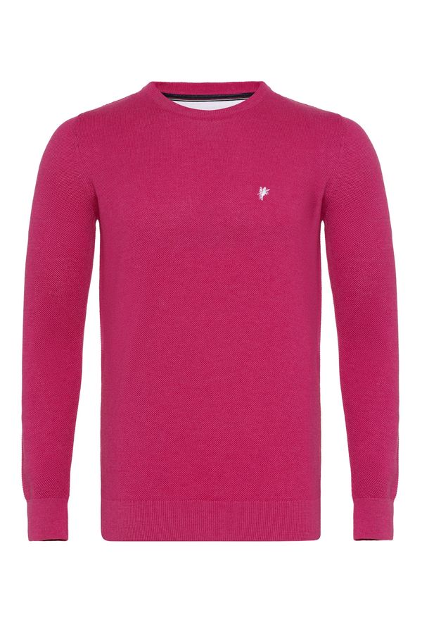 DENIM CULTURE DENIM CULTURE Pulover 'LEVIN'  fuksija / bijela