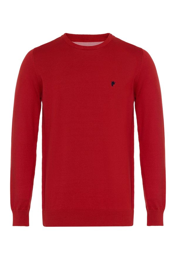 DENIM CULTURE DENIM CULTURE Pulover ' NEROLI '  crvena