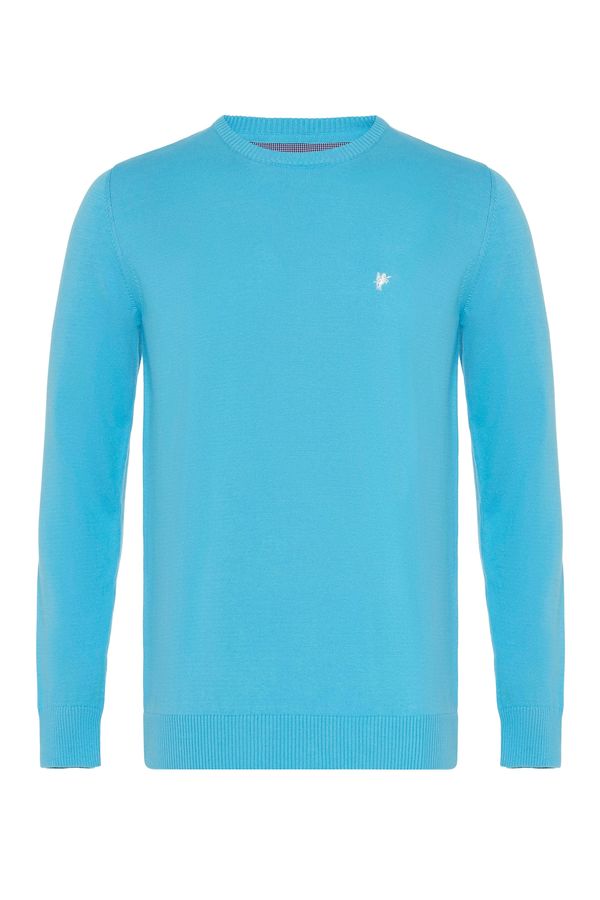 DENIM CULTURE DENIM CULTURE Pulover ' NEROLI '  tirkiz