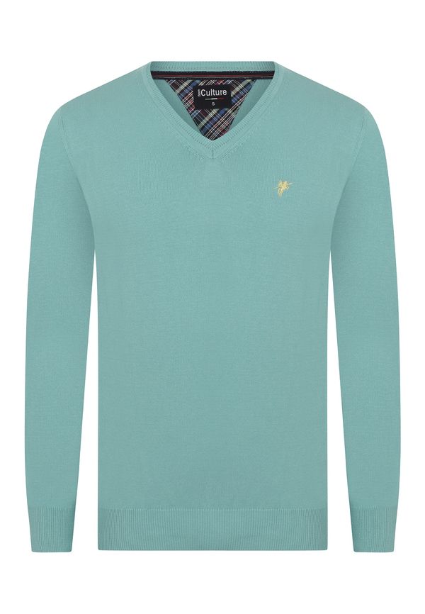 DENIM CULTURE DENIM CULTURE Pulover 'Silvestro'  menta