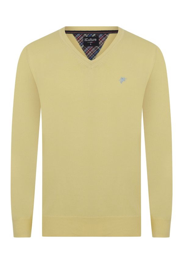 DENIM CULTURE DENIM CULTURE Pulover 'Silvestro'  žuta
