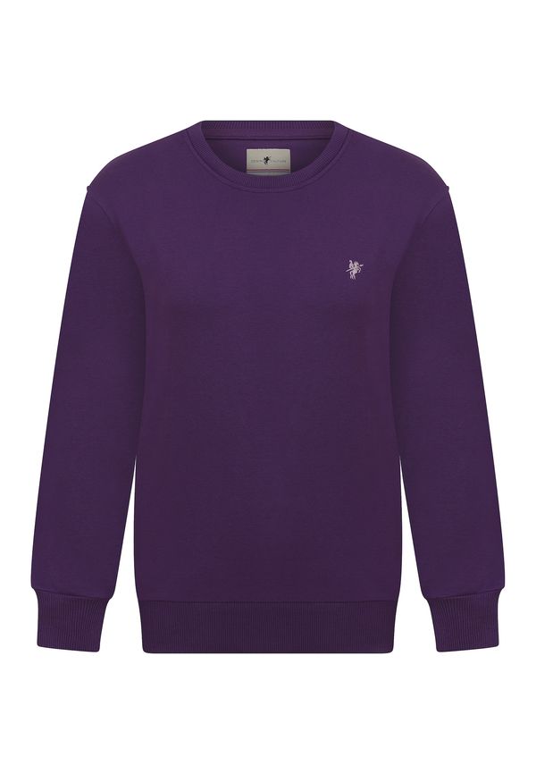 DENIM CULTURE DENIM CULTURE Sweater majica 'Felicity'  šljiva / pastelno ljubičasta