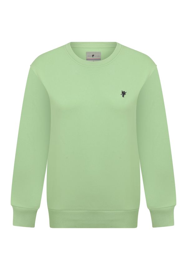 DENIM CULTURE DENIM CULTURE Sweater majica 'Felicity'  svijetlozelena / crna