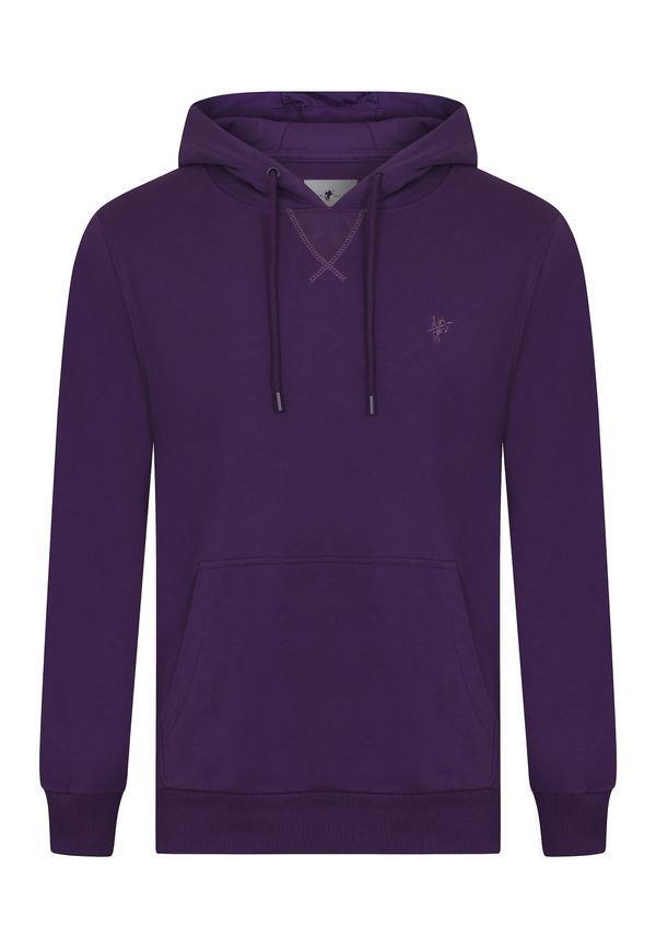 DENIM CULTURE DENIM CULTURE Sweater majica 'Hector'  šljiva