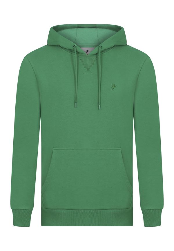 DENIM CULTURE DENIM CULTURE Sweater majica 'Hector'  travnato zelena