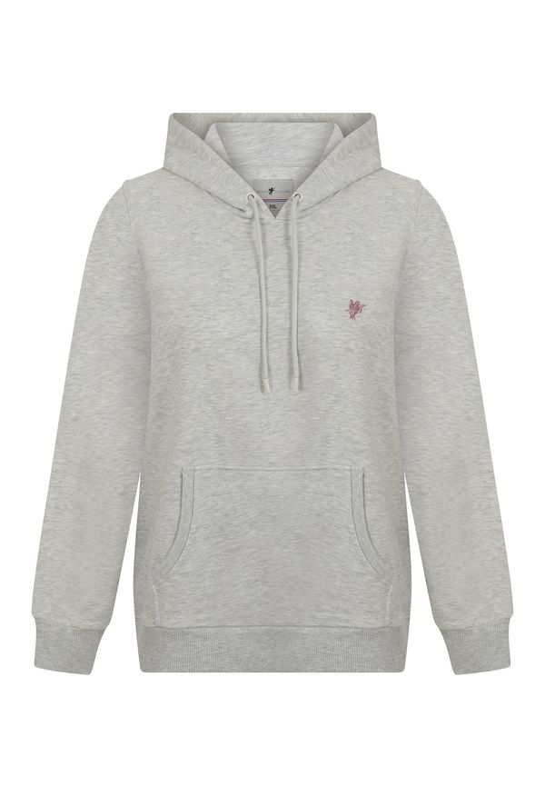 DENIM CULTURE DENIM CULTURE Sweater majica 'Zenaida'  siva