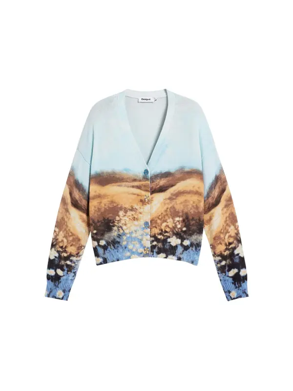 Desigual Desigual Kardigan  plava / smeđa