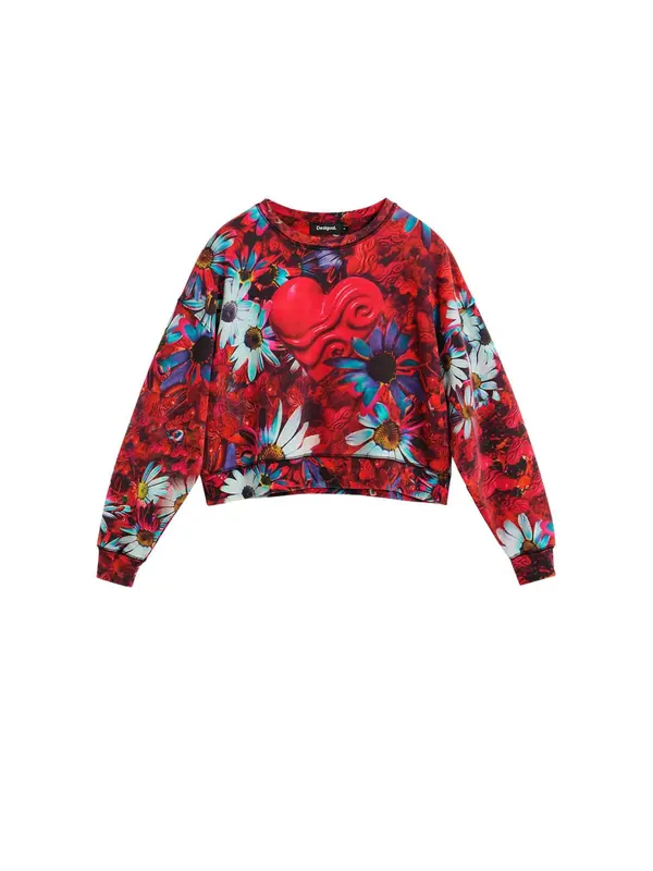 Desigual Desigual Sweater majica  plava / nebesko plava / crvena