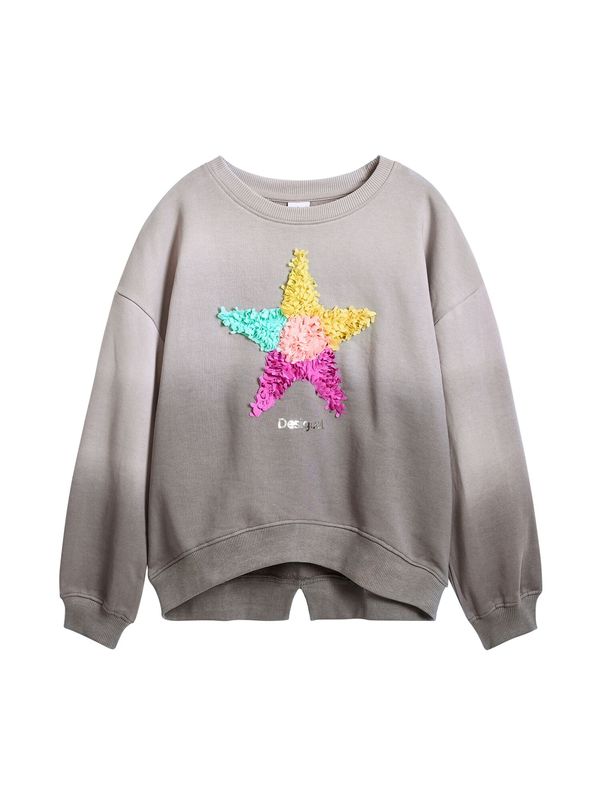 Desigual Desigual Sweater majica  siva / miks boja