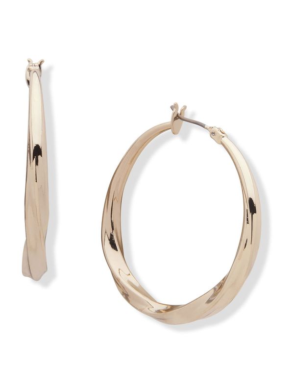 DKNY DKNY Naušnice  zlatna / prozirna