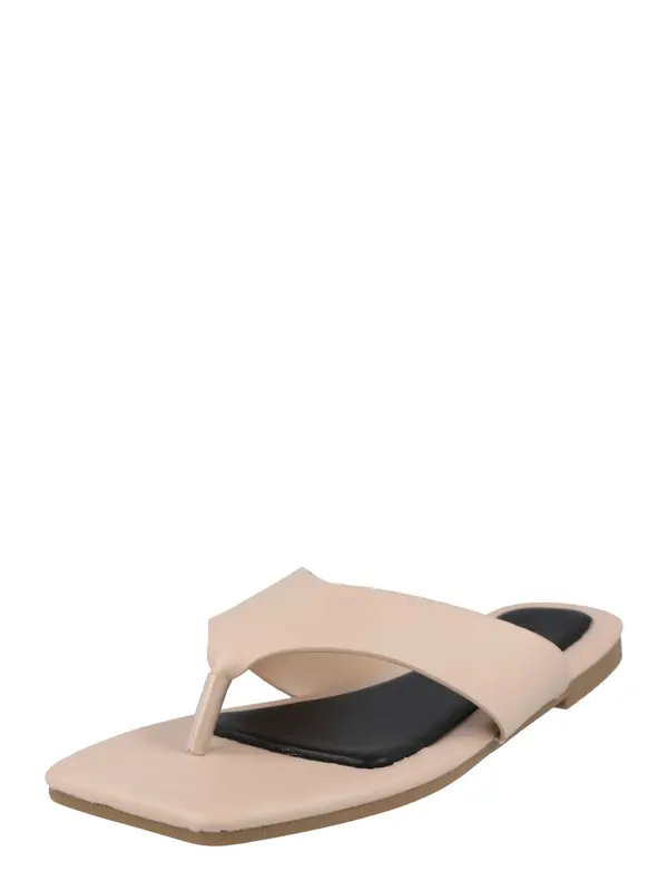 Dorothy Perkins Dorothy Perkins Japanke 'Anna'  puder roza