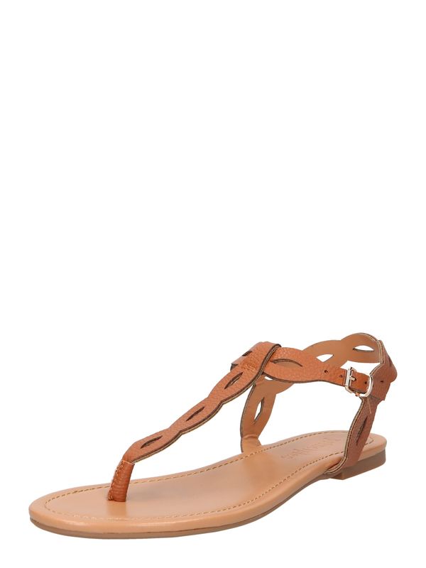 Dorothy Perkins Dorothy Perkins Japanke 'Bertie'  smeđa