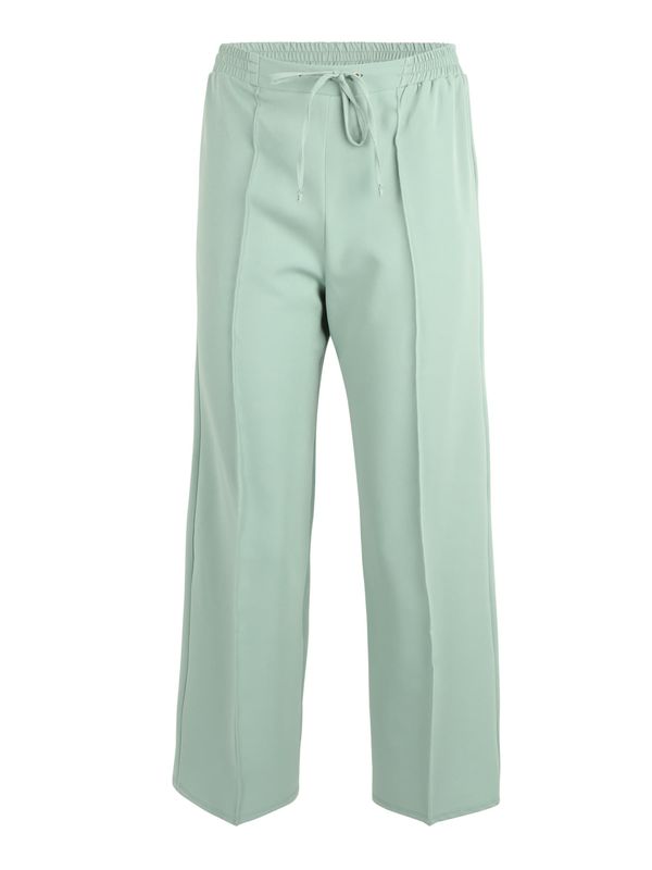 Dorothy Perkins Petite Dorothy Perkins Petite Hlače na crtu  menta