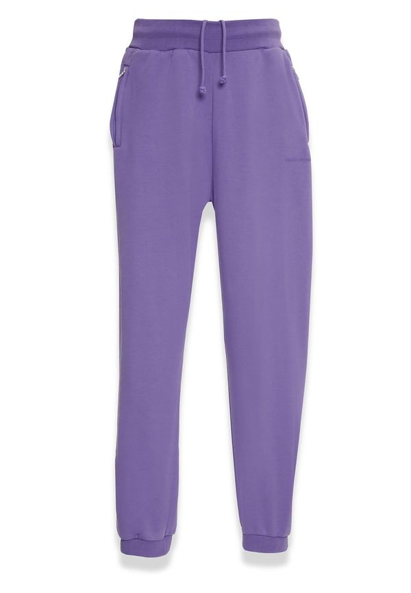 Dropsize Dropsize Hlače 'Bazix Republiq'  ljubičasta