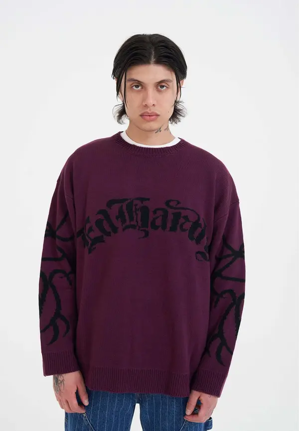 Ed Hardy Ed Hardy Pulover  tamno ljubičasta / crna