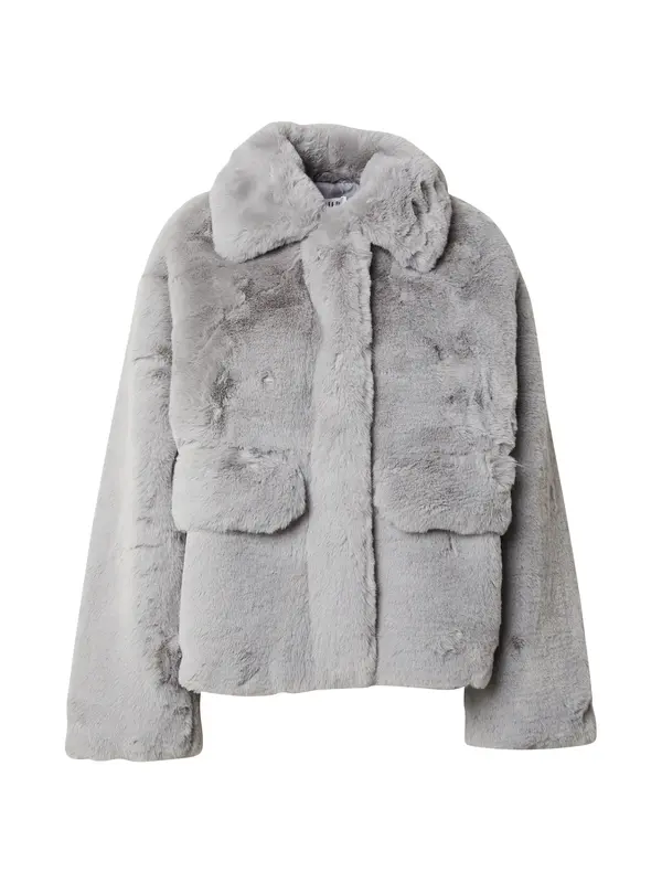 EDITED EDITED Zimska jakna 'Carly'  srebrno siva / srebro