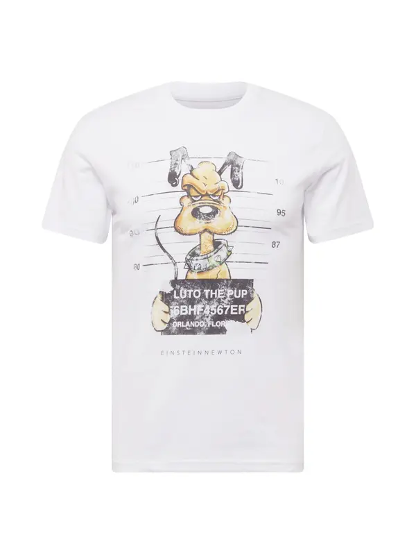 EINSTEIN & NEWTON EINSTEIN & NEWTON Majica  konjak / svijetlosiva / travnato zelena / crna / bijela