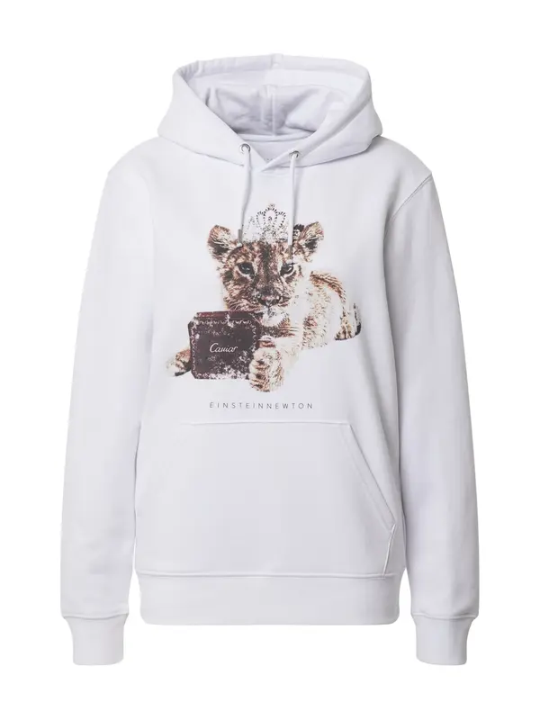 EINSTEIN & NEWTON EINSTEIN & NEWTON Sweater majica  bež / smeđa / bijela